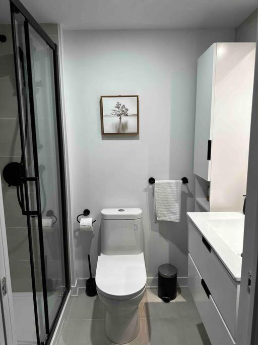 Bel Appartement Au Centre-Ville Montréal Extérieur photo